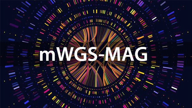 mWGS-MAG