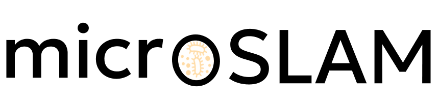 microSLAM Logo